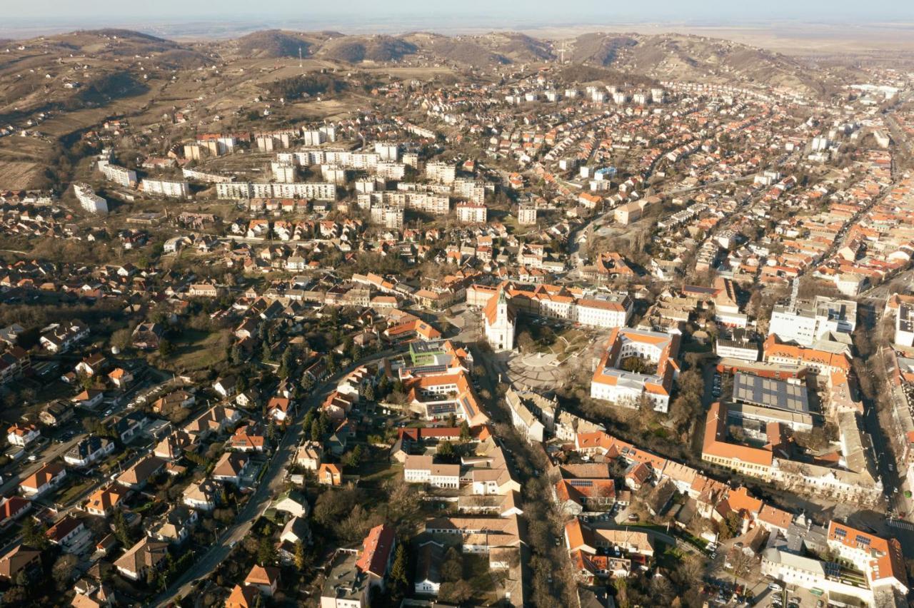 Munkacsy Villa - Szekszard Bagian luar foto